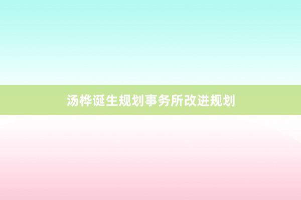 汤桦诞生规划事务所改进规划