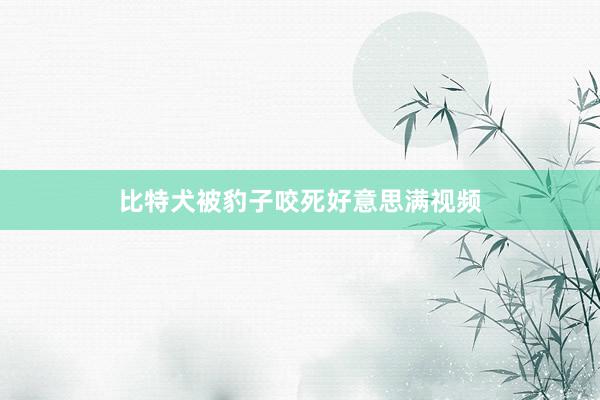 比特犬被豹子咬死好意思满视频