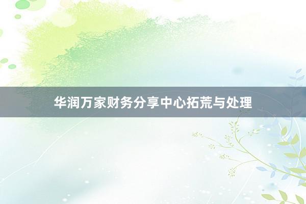 华润万家财务分享中心拓荒与处理
